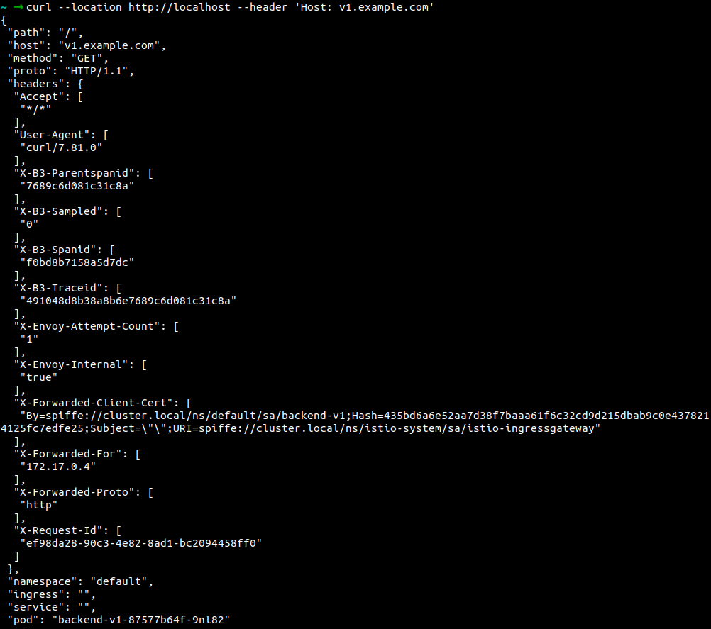 Host-Based routing v1