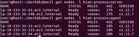 Enabling Kiam in EKS cluster