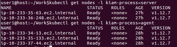 Enabling Kiam in EKS
cluster